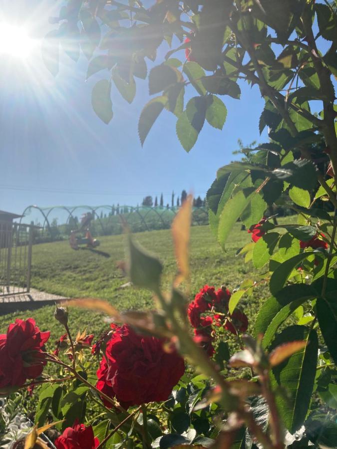B&B” La Tezza” Torre de' Roveri Kültér fotó